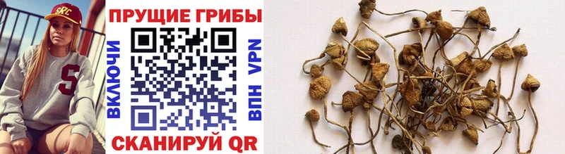 Галлюциногенные грибы GOLDEN TEACHER  Куртамыш 